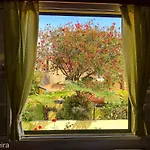 Terra Cha Cottage,feel Home, Holiday home Sao Vicente (Madeira)