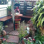 Terra Cha Cottage,feel Home, * Sao Vicente (Madeira)