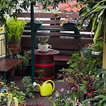 Terra Cha Cottage,feel Home, Holiday home Sao Vicente (Madeira)