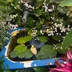 Terra Cha Cottage,feel Home, * Sao Vicente (Madeira)