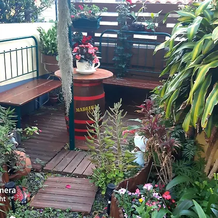 Terra Cha Cottage,feel Home, * São Vicente