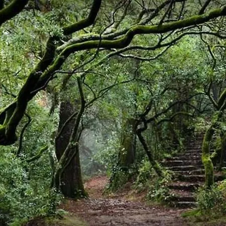 Terra Cha Cottage,feel Home, * Sao Vicente (Madeira)