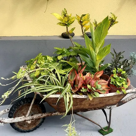 Terra Cha Cottage,feel Home,