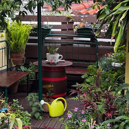 Terra Cha Cottage,feel Home, Nyaraló São Vicente