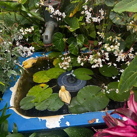 Terra Cha Cottage,feel Home, * São Vicente