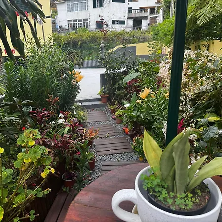 Terra Cha Cottage,feel Home, * Sao Vicente (Madeira)