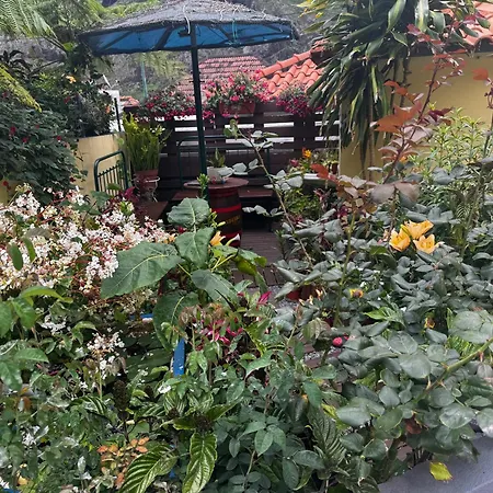 Terra Cha Cottage,feel Home, Tatil Evi