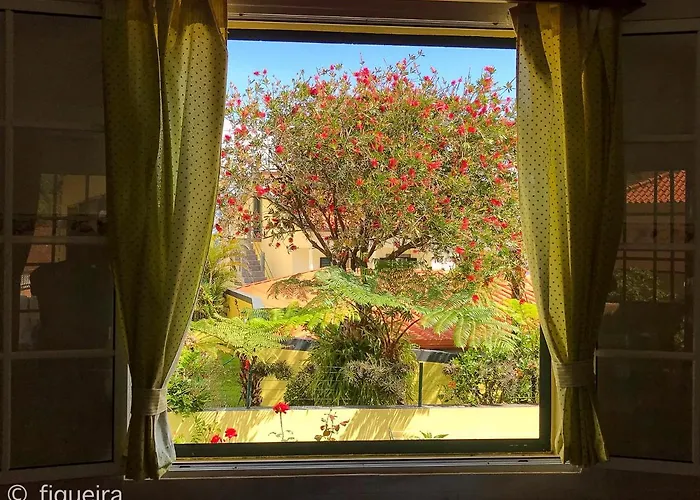 Terra Cha Cottage,feel Home, Feriehus São Vicente