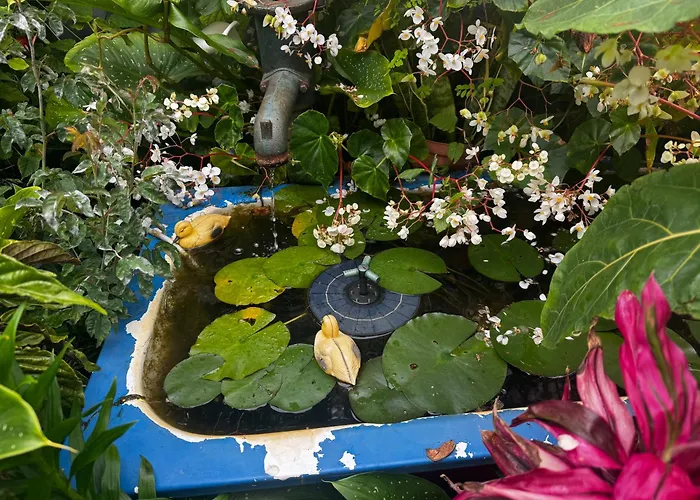 Terra Cha Cottage,feel Home, * São Vicente