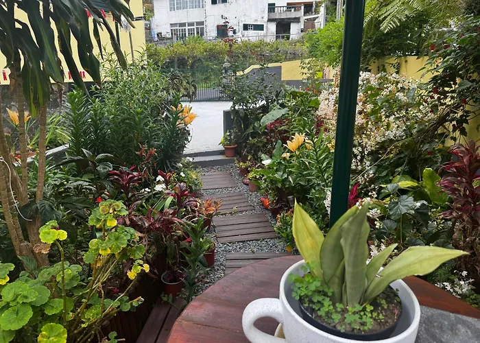 Terra Cha Cottage,feel Home, * São Vicente